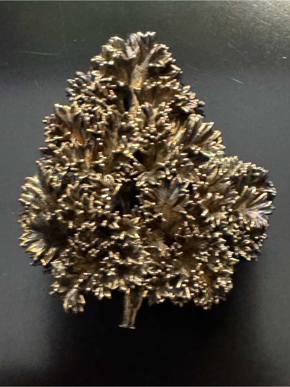 Vintage Flora Danica Sterling Silver Brooch Eggert Denmark Organic Botanical Pin